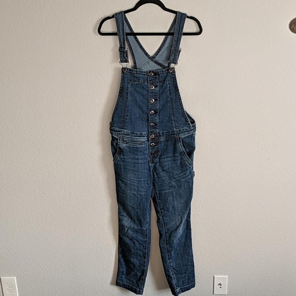 Free People Denim Overalls
